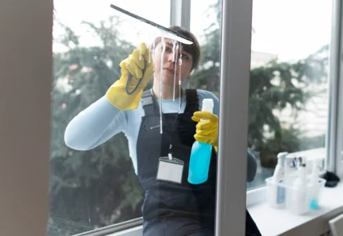 Nettoyage de vitres intérieures et extérieures à Rothau